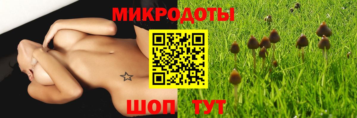 Губкин  Псилоцибиновые грибы мухоморы  Вход с VPN 